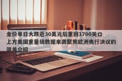 金价单日大跌近30美元后重回1700关口上方美国重量级数据来袭聚焦欧洲央行决议的简单介绍