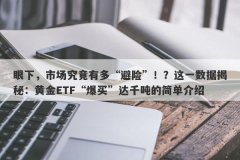 眼下，市场究竟有多“避险”！？这一数据揭秘：黄金ETF“爆买”达千吨的简单介绍
