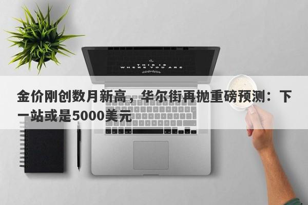 金价刚创数月新高,华尔街再抛重磅预测:下一站或是5000美元