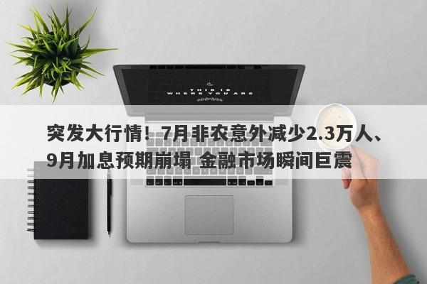 突发大行情！7月非农意外减少2.3万人、9月加息预期崩塌 金融市场瞬间巨震
