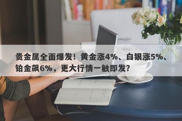 贵金属全面爆发！黄金涨4%、白银涨5%、铂金飙6%，更大行情一触即发？